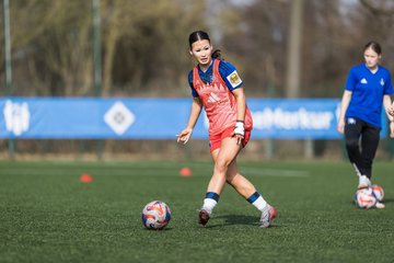 Bild 142 - wBJ Hamburger SV - Hertha BSC : Ergebnis: 2:1